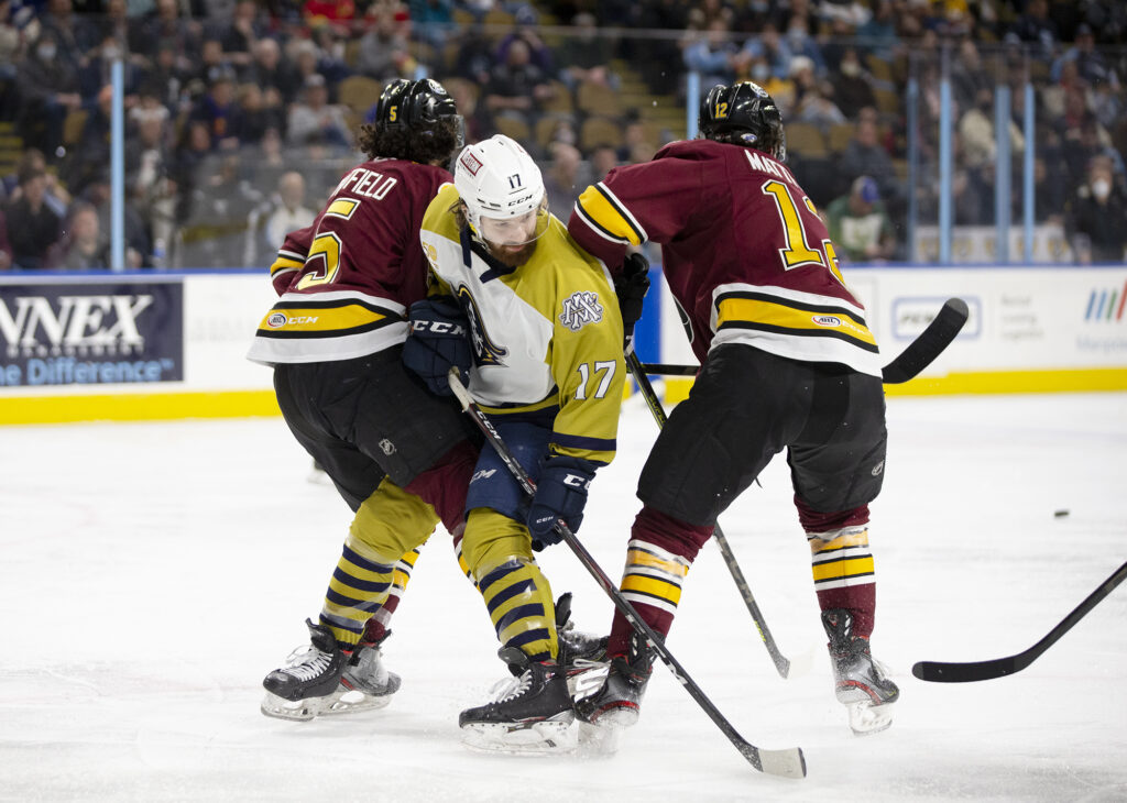 Milwaukee Admirals Opt Out Of 2021 American Hockey League Season