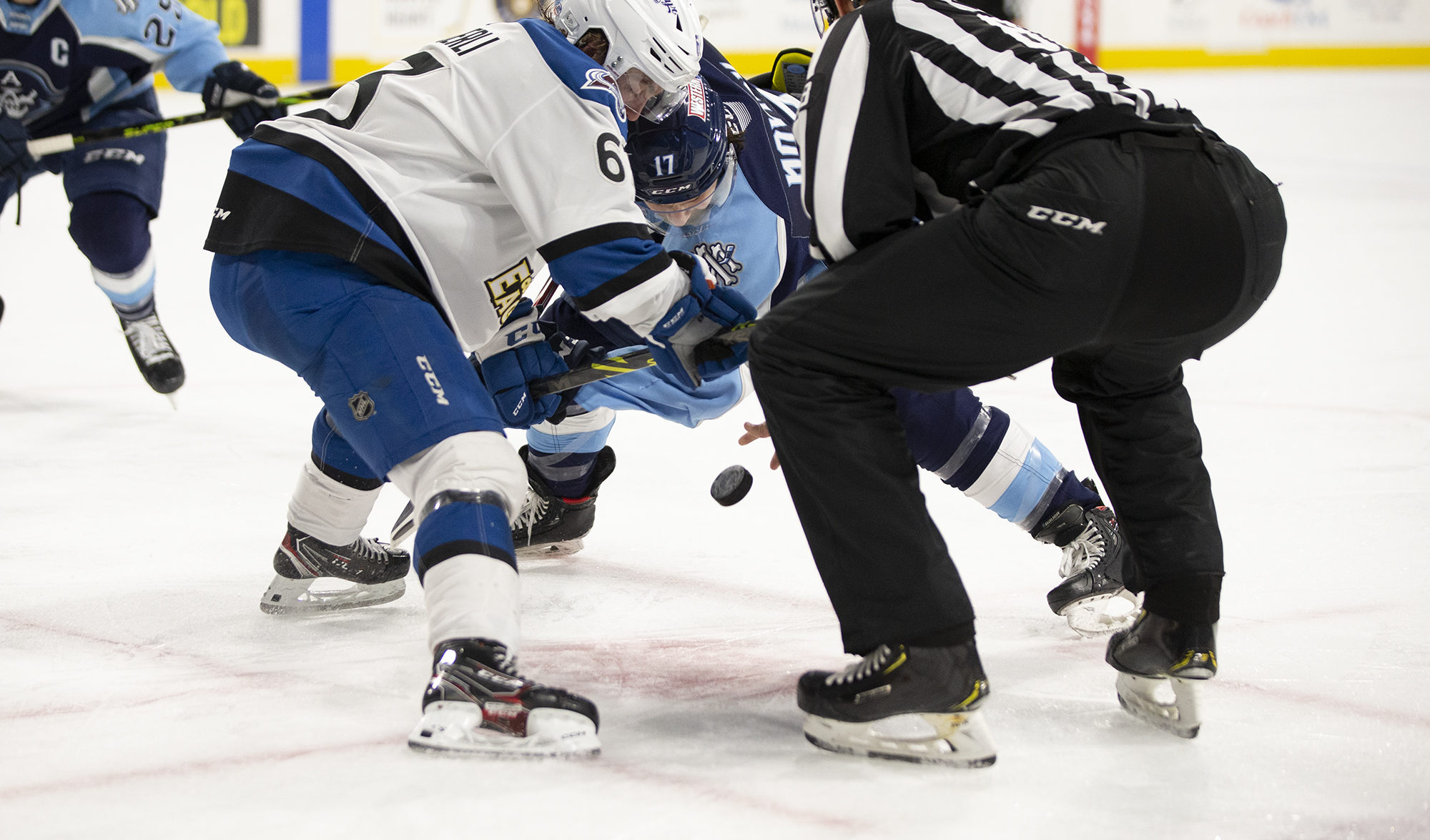 Drop The Puck! Milwaukee Admirals take the home ice tonight