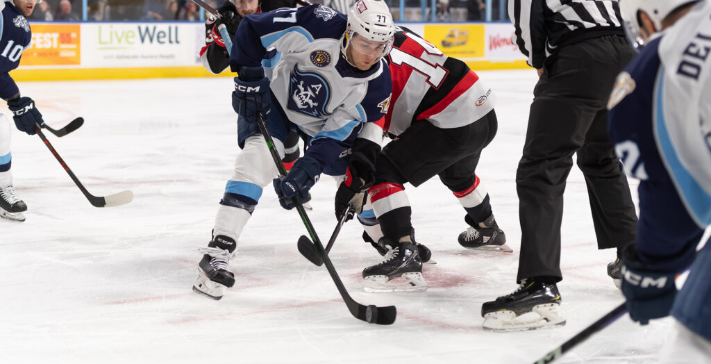 Jankowski Assigned to Admirals