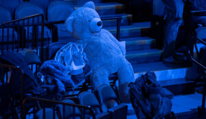 Teddy Bear