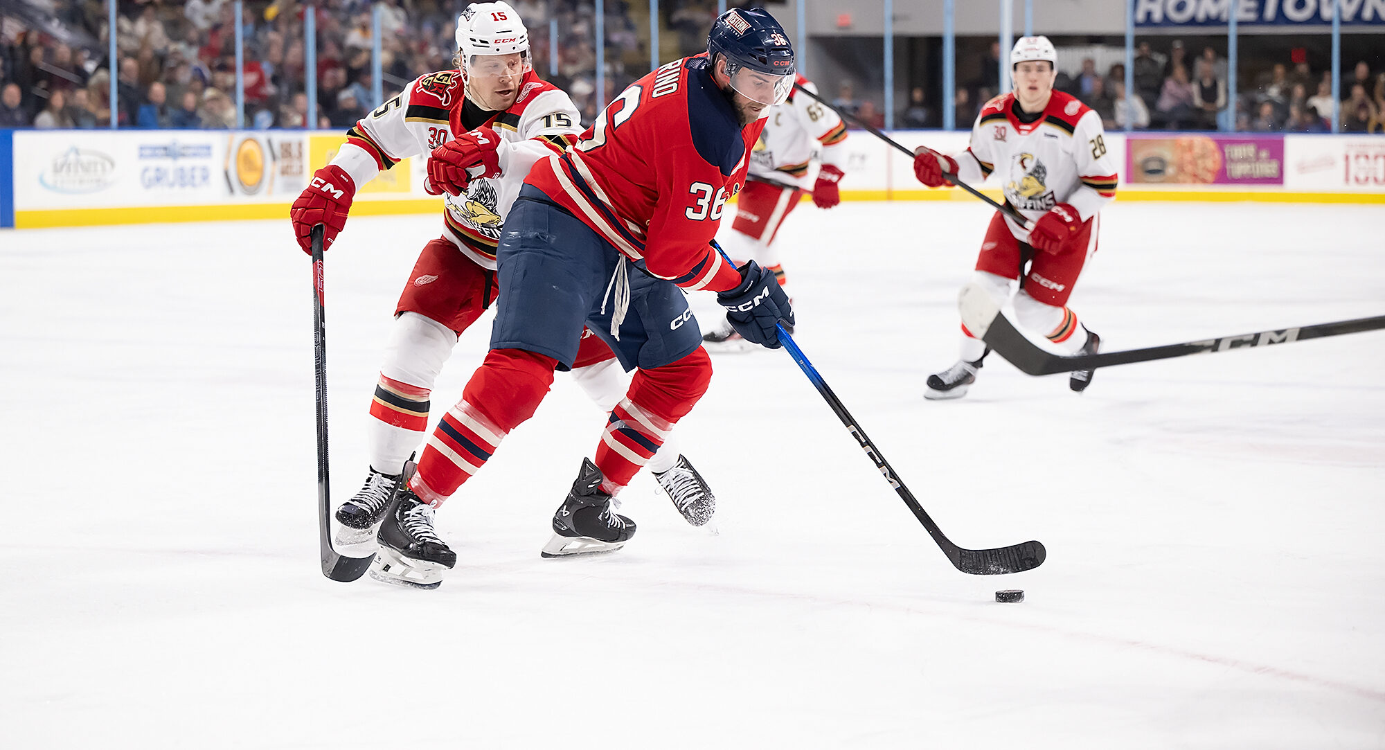Friday S Game In GR Postponed Milwaukee Admirals Marino 1 